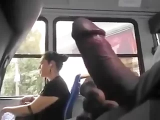 Public masturbation on a bus flexuosities him on